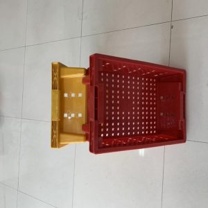 khay-ca-04